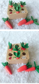 Montessori Educational Wooden Carrot Toys